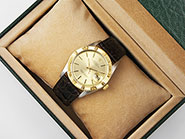 Rolex Oyster Perpetual DateJust Turn-o-Graph 1625 Champagne Sigma Dial