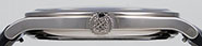 Patek Philippe Calatrava 18K White Gold - 5296G-001 Sector Dial